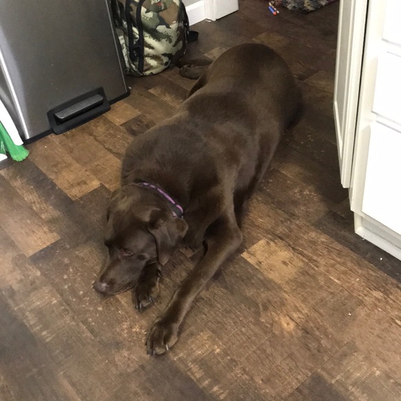 Meet your Posher, Jacob - Picture 1 of 1